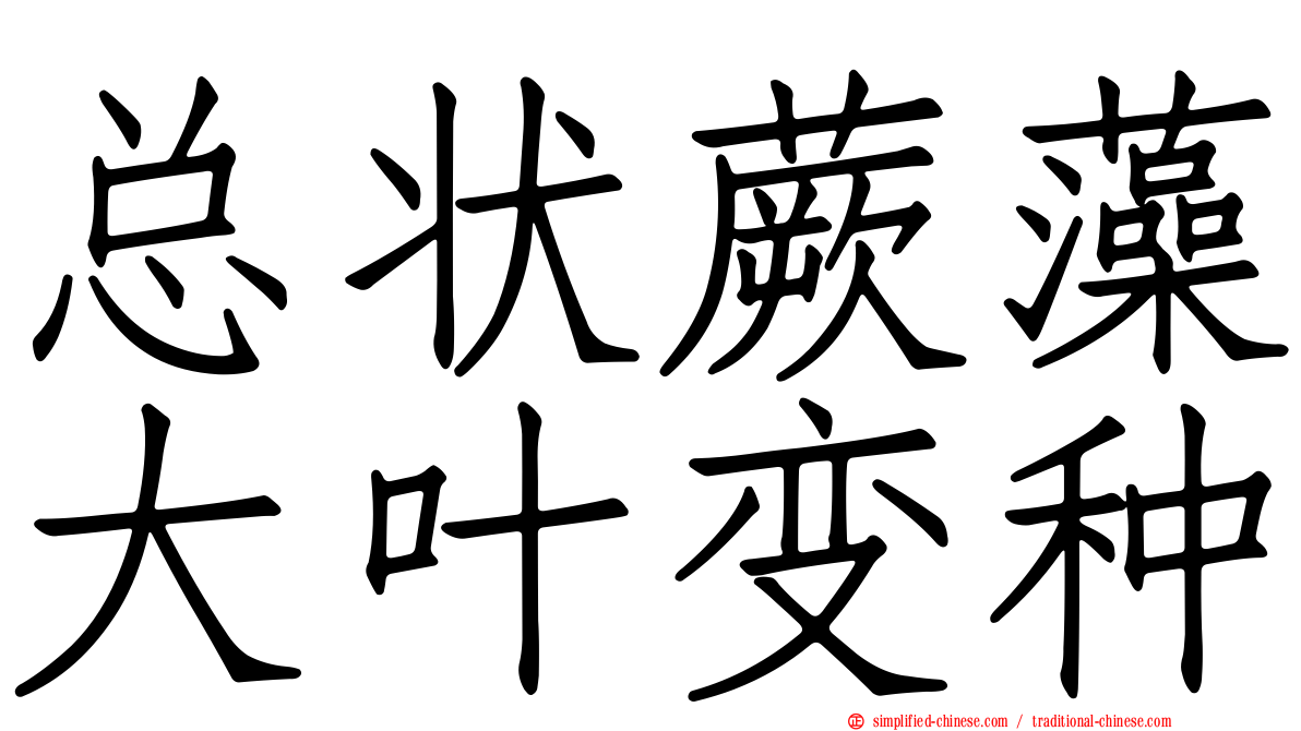 总状蕨藻大叶变种