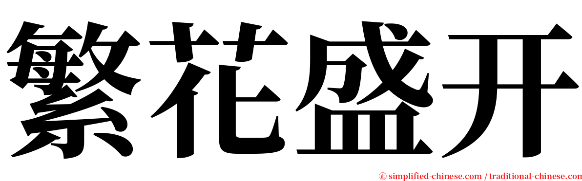 繁花盛开 serif font