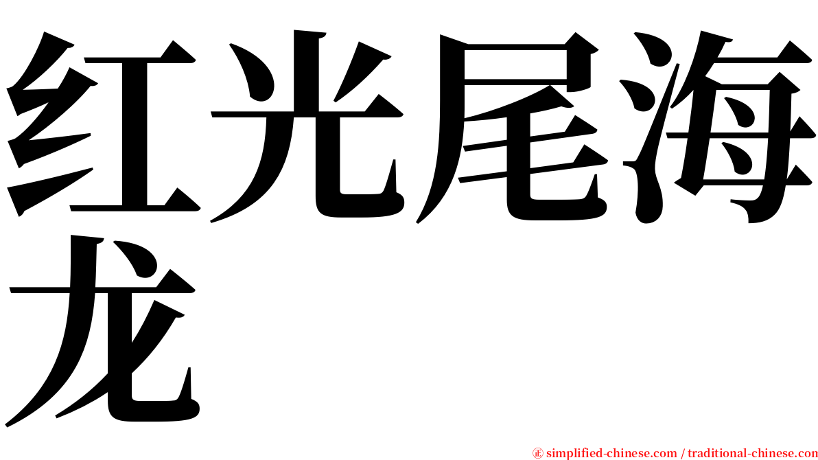 红光尾海龙 serif font