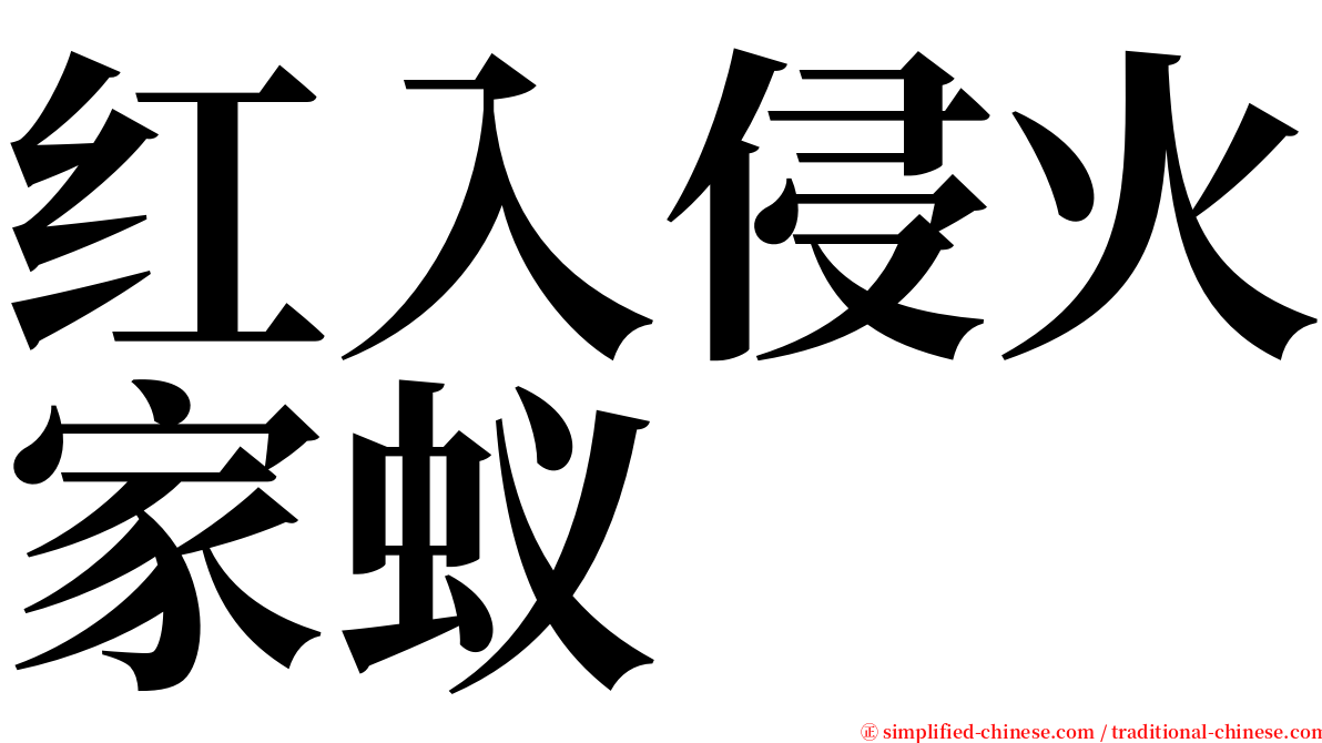 红入侵火家蚁 serif font