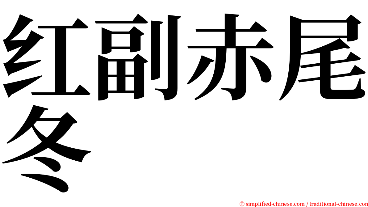 红副赤尾冬 serif font