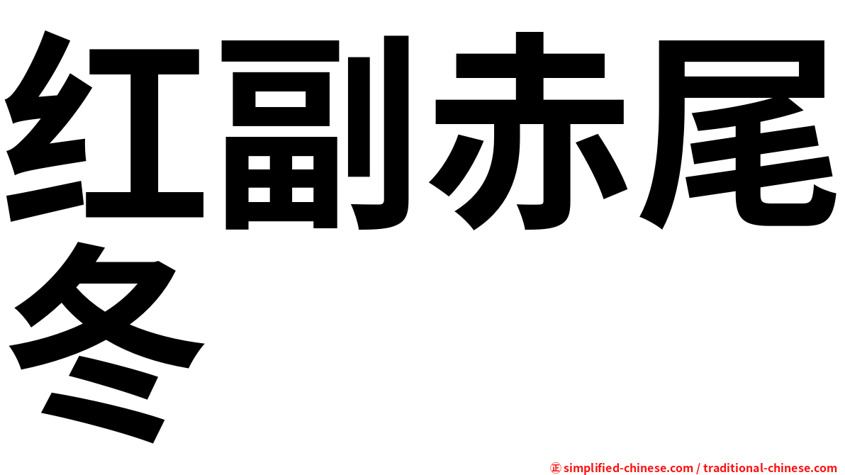 红副赤尾冬