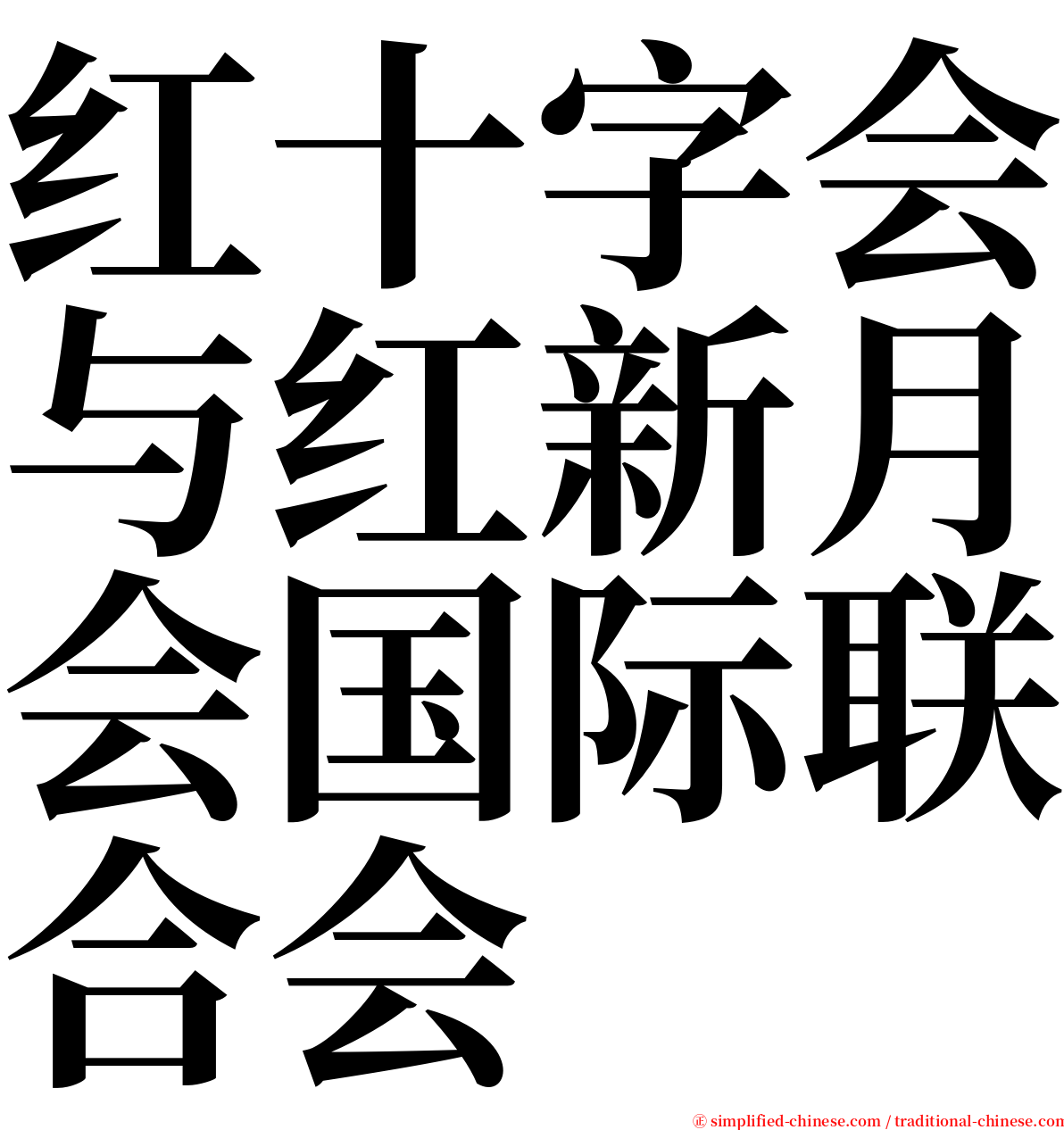 红十字会与红新月会国际联合会 serif font