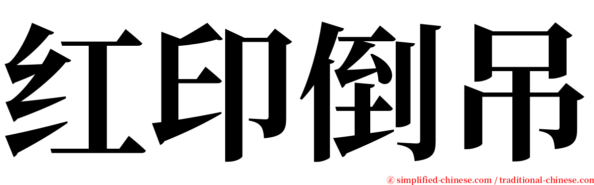 红印倒吊 serif font