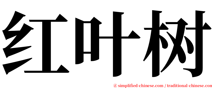 红叶树 serif font