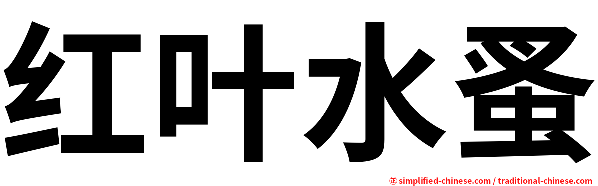 红叶水蚤