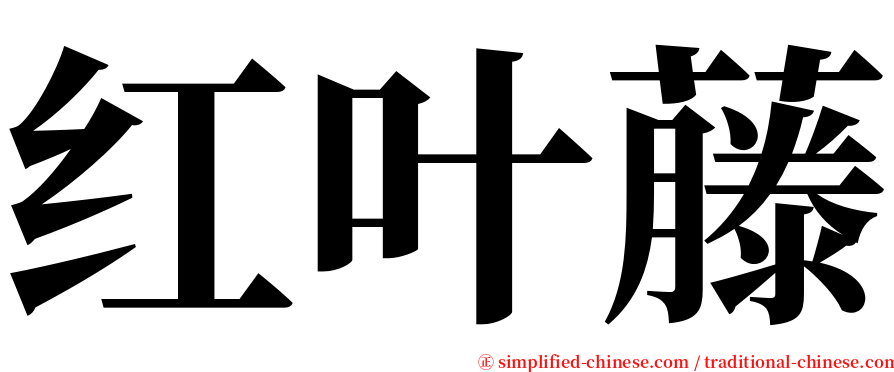 红叶藤 serif font