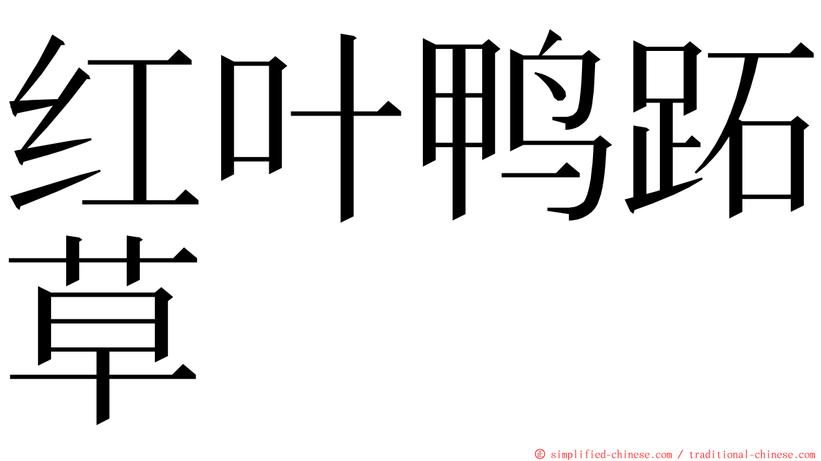 红叶鸭跖草 ming font