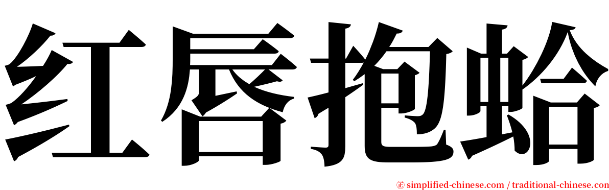 红唇抱蛤 serif font