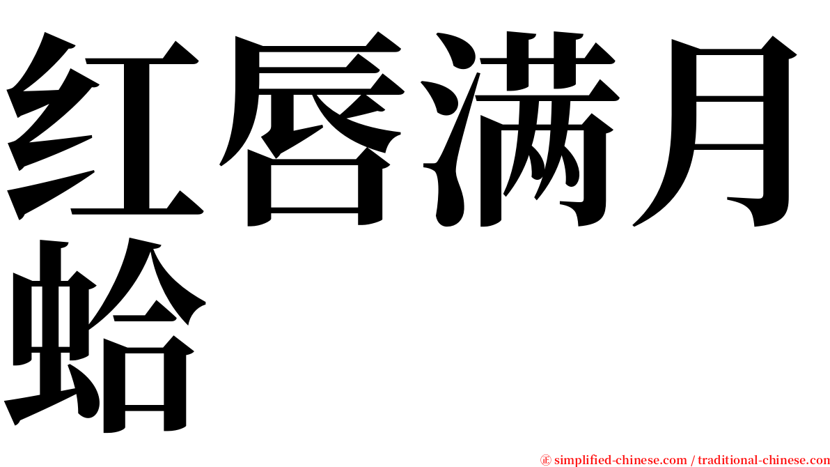 红唇满月蛤 serif font