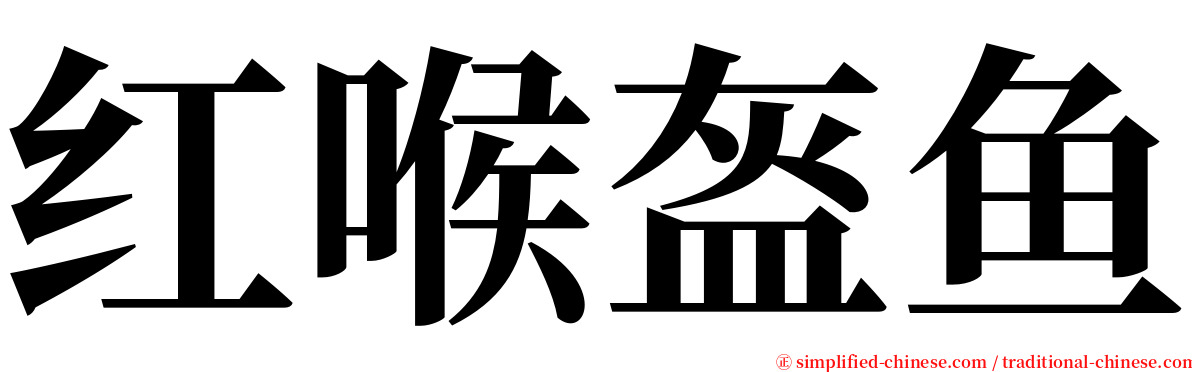 红喉盔鱼 serif font