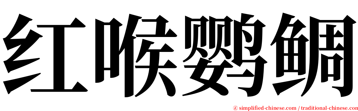 红喉鹦鲷 serif font