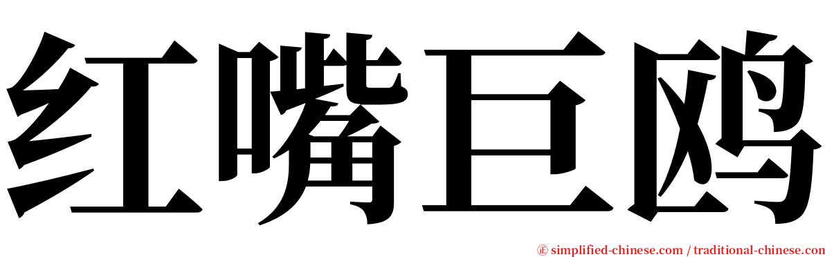 红嘴巨鸥 serif font