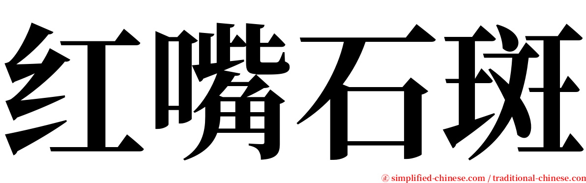 红嘴石斑 serif font