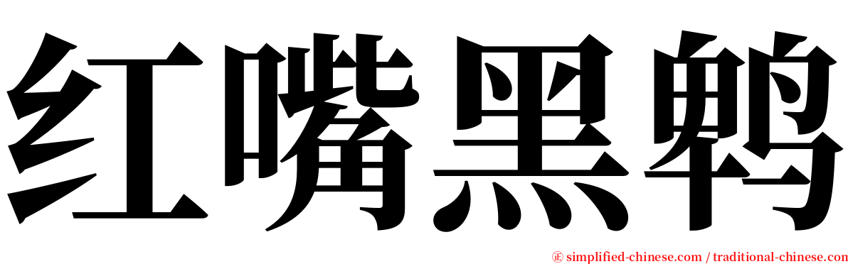 红嘴黑鹎 serif font