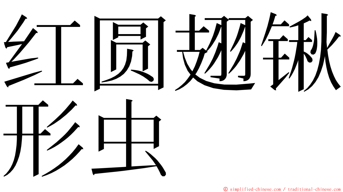 红圆翅锹形虫 ming font