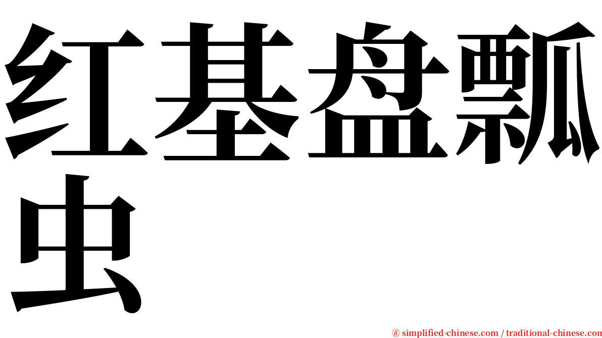 红基盘瓢虫 serif font