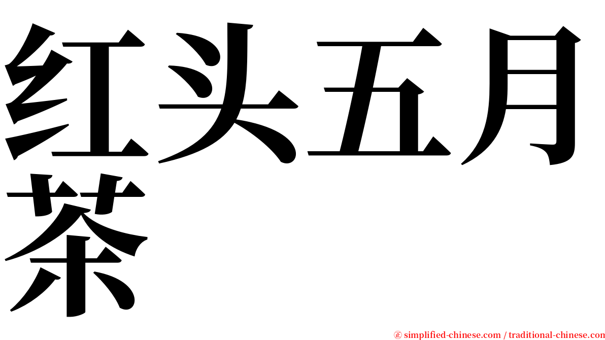 红头五月茶 serif font