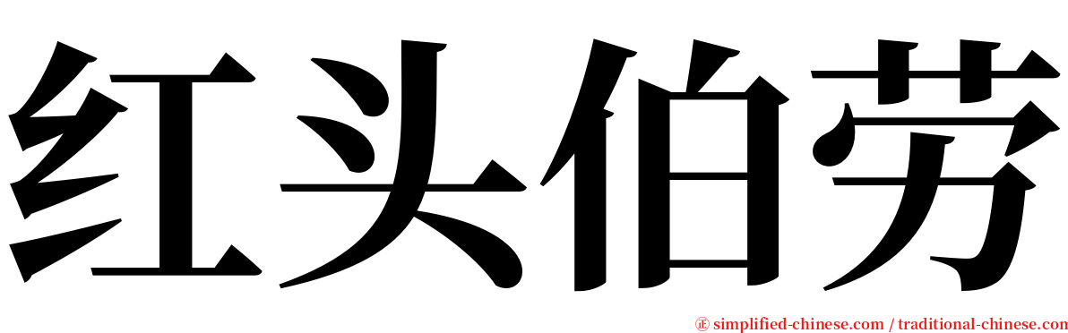 红头伯劳 serif font