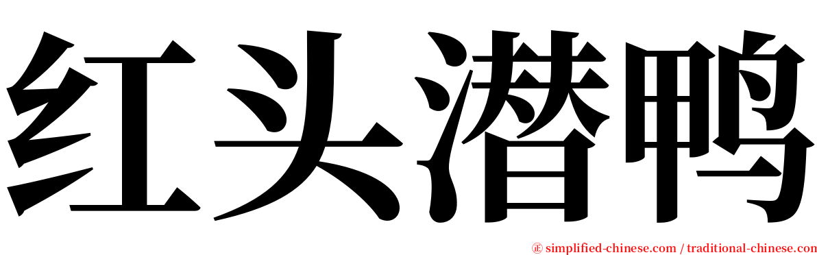 红头潜鸭 serif font