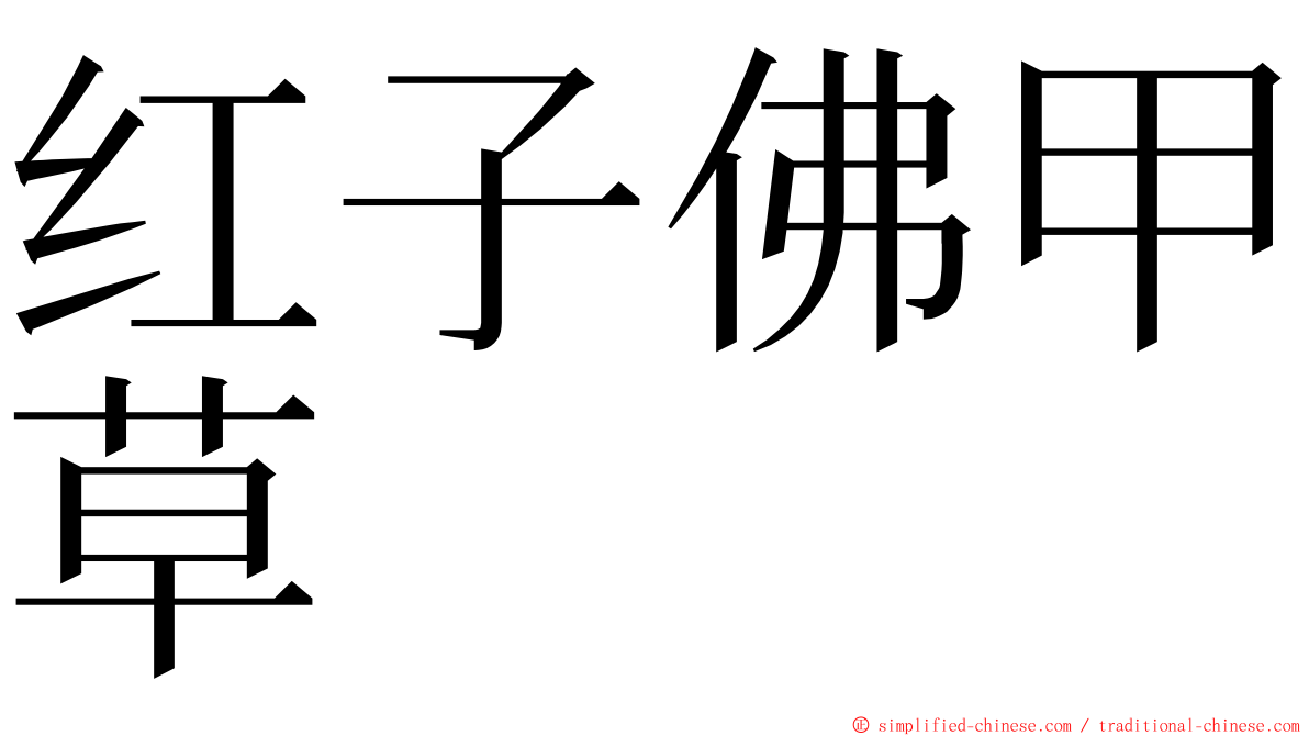 红子佛甲草 ming font