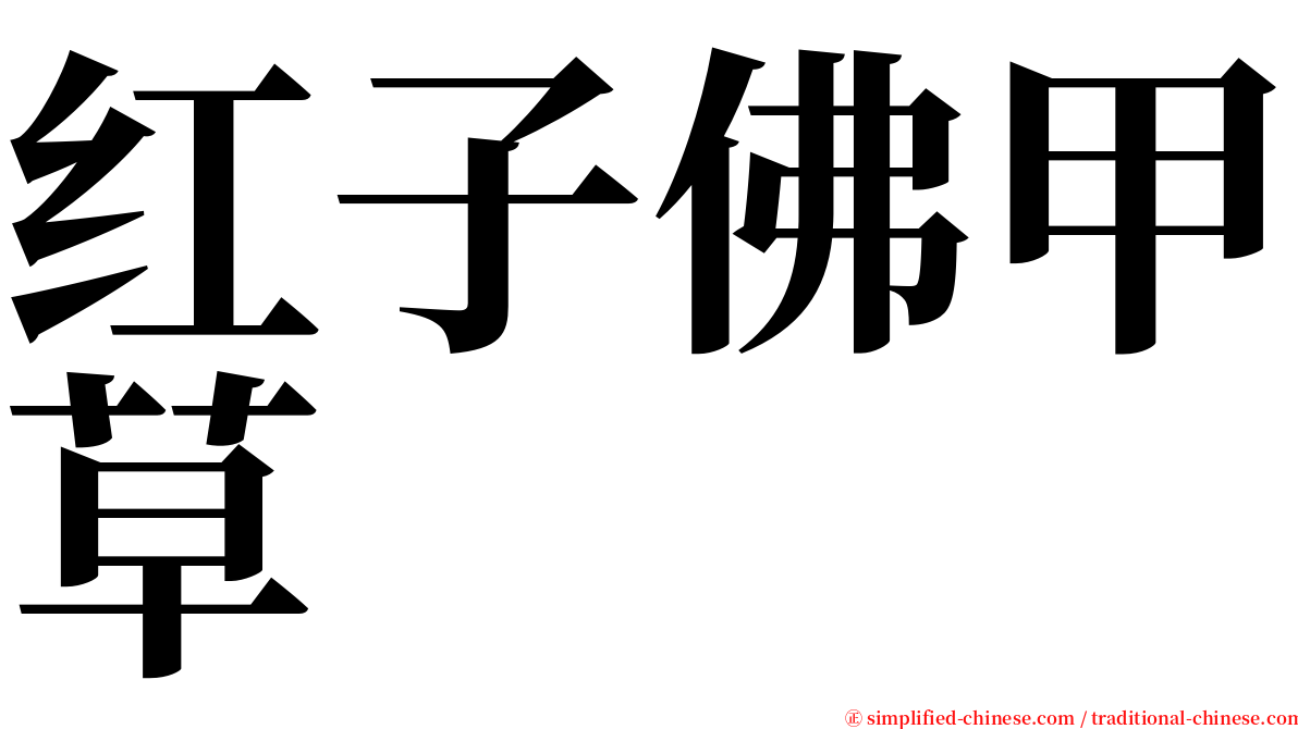 红子佛甲草 serif font