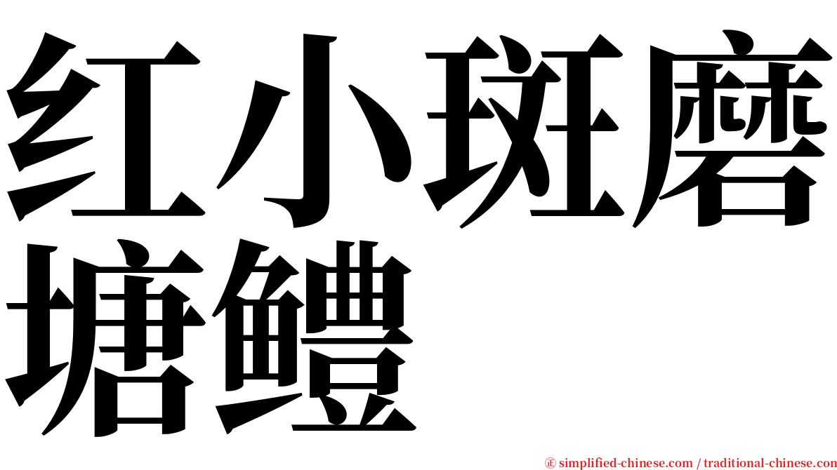 红小斑磨塘鳢 serif font