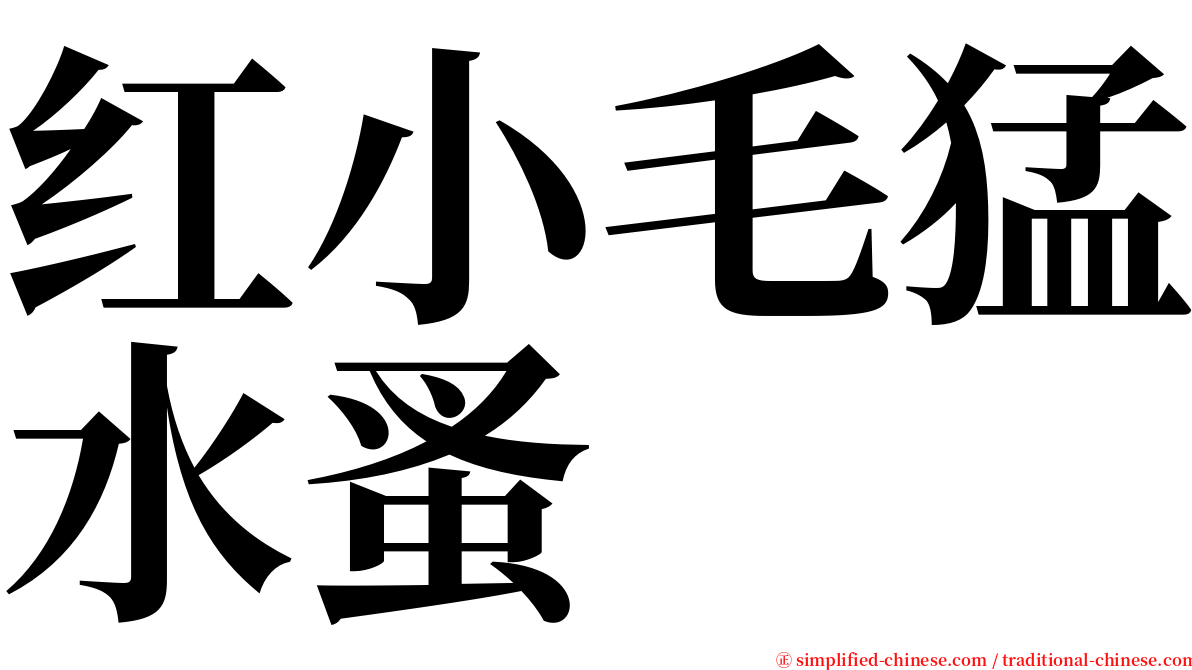 红小毛猛水蚤 serif font