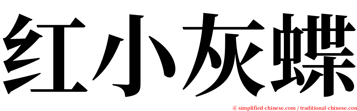 红小灰蝶 serif font