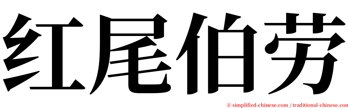 红尾伯劳 serif font