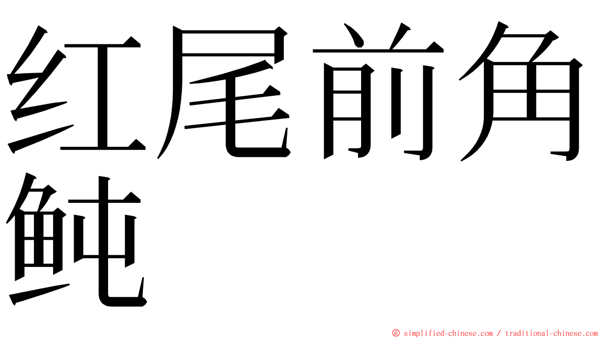 红尾前角鲀 ming font