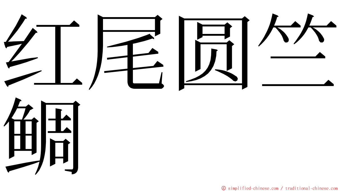 红尾圆竺鲷 ming font