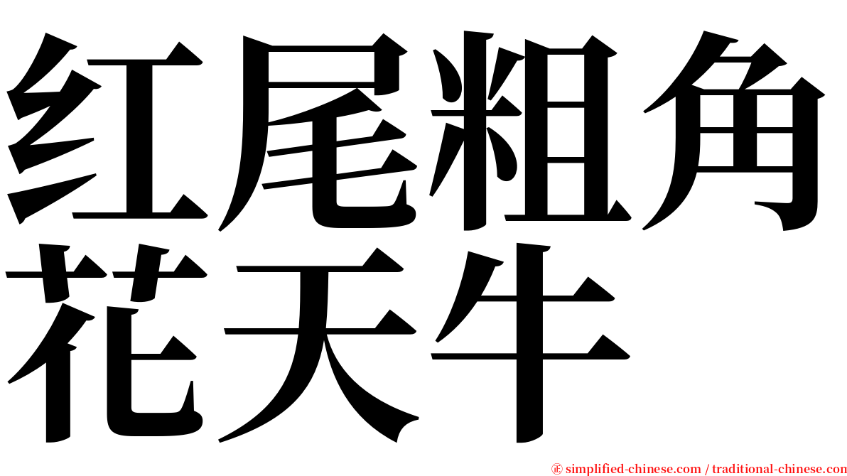 红尾粗角花天牛 serif font