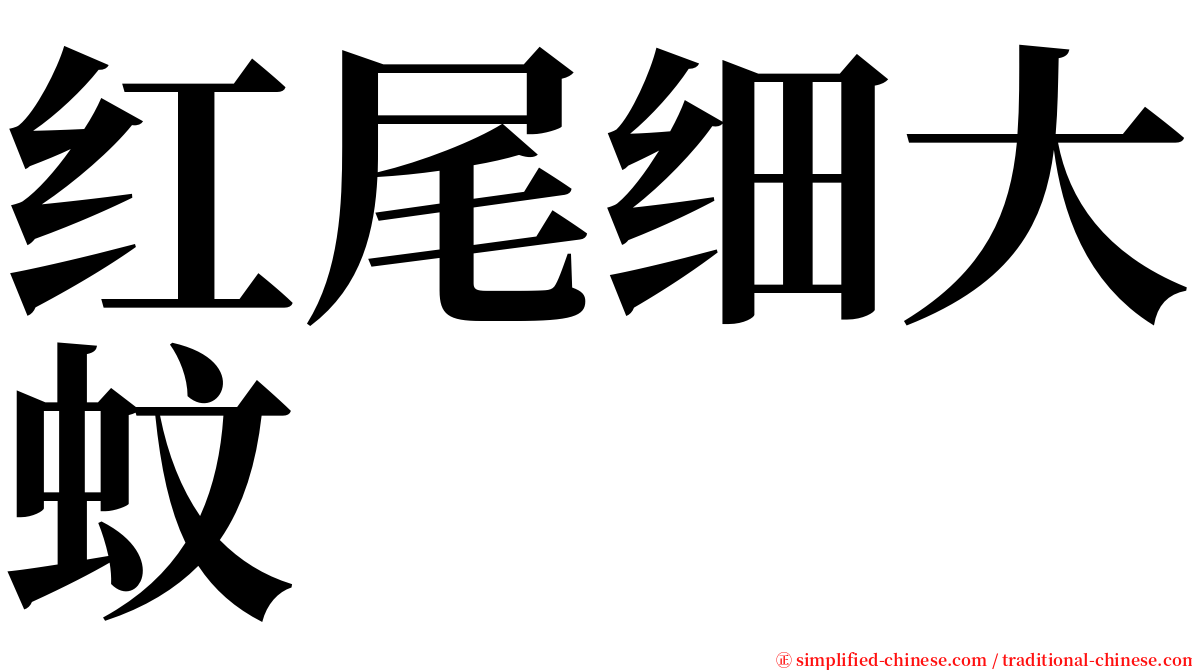 红尾细大蚊 serif font