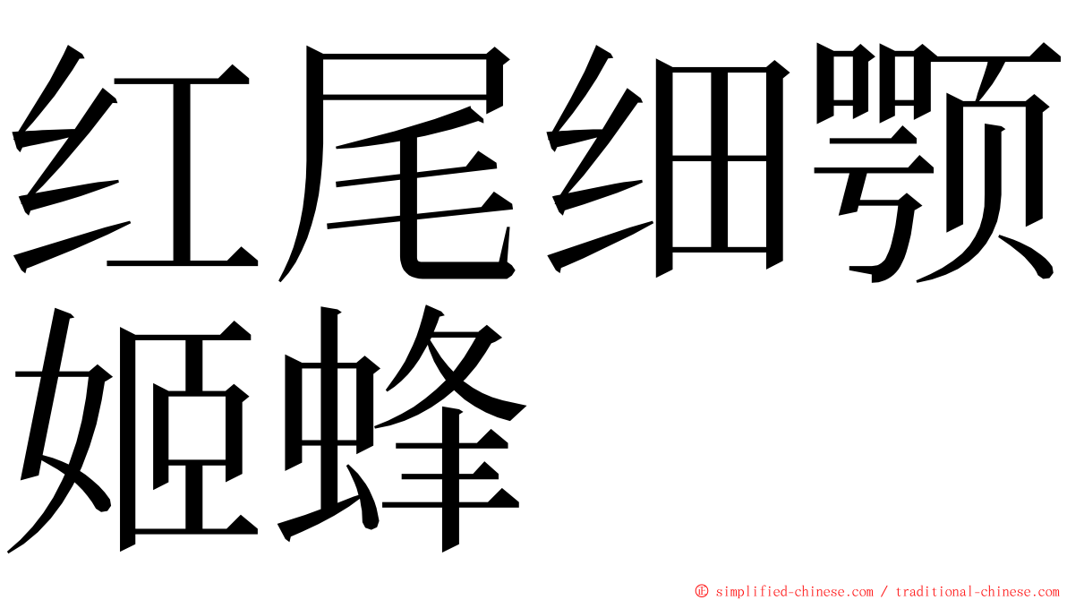 红尾细颚姬蜂 ming font