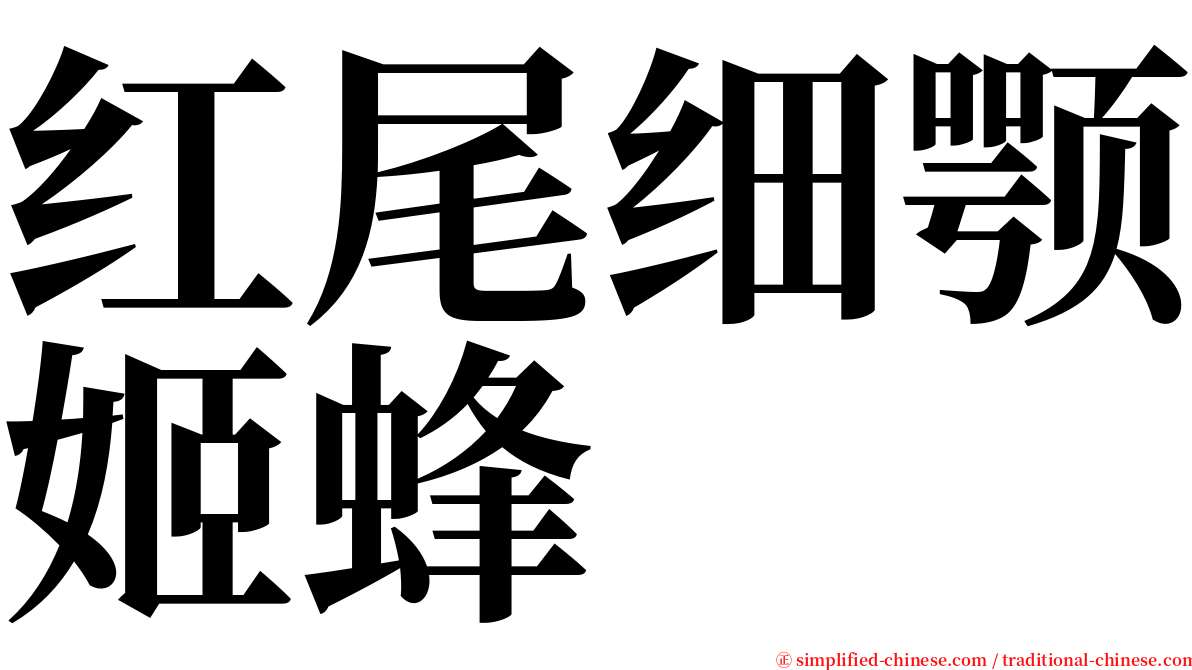 红尾细颚姬蜂 serif font