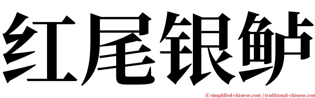 红尾银鲈 serif font