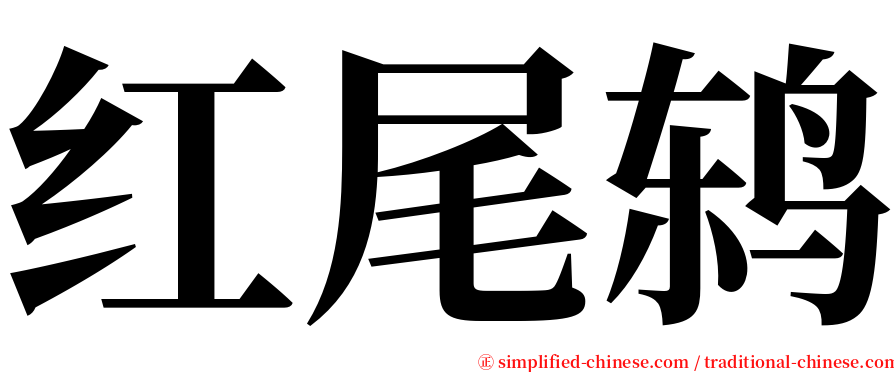 红尾鸫 serif font