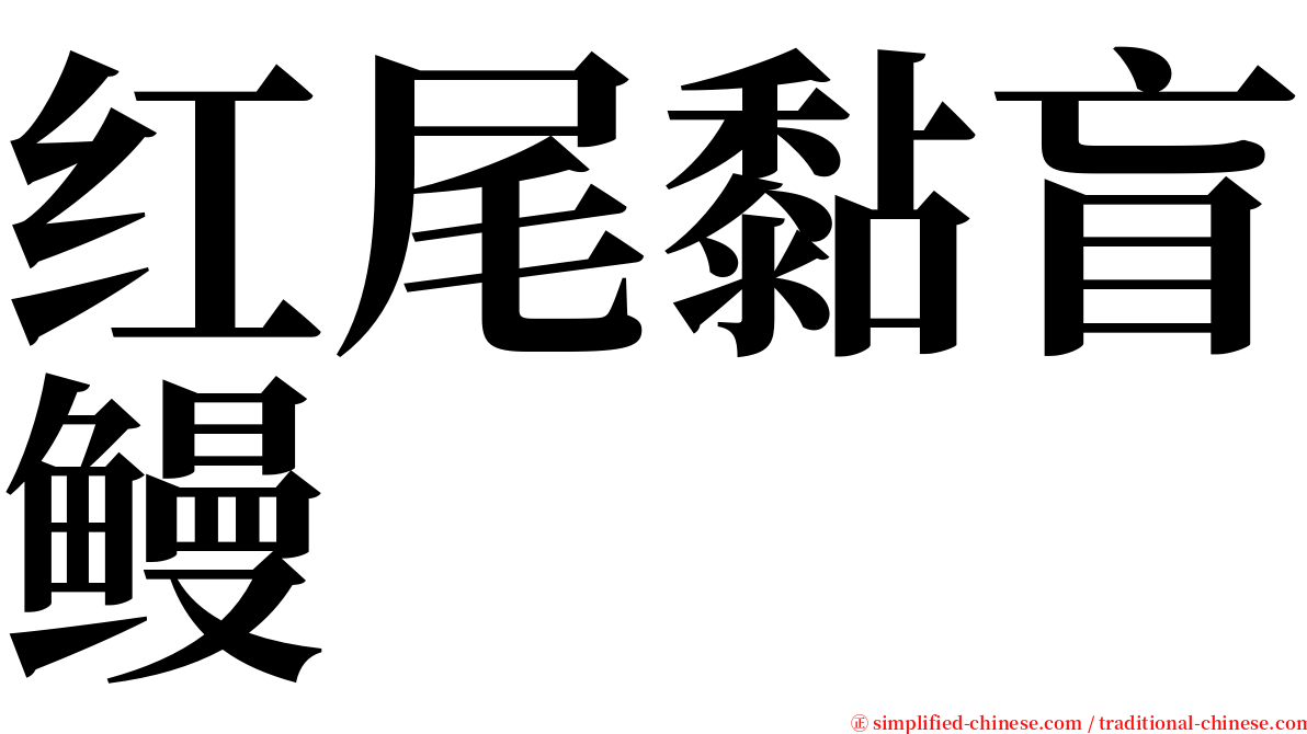 红尾黏盲鳗 serif font