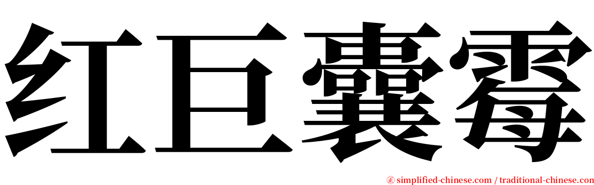 红巨囊霉 serif font