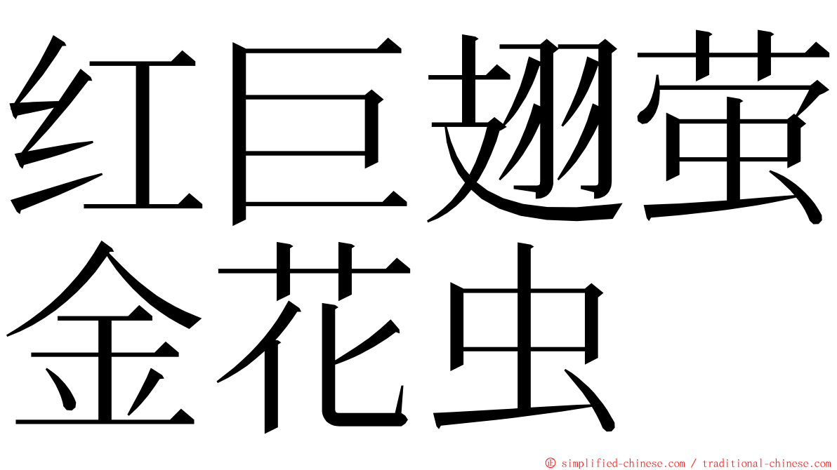 红巨翅萤金花虫 ming font