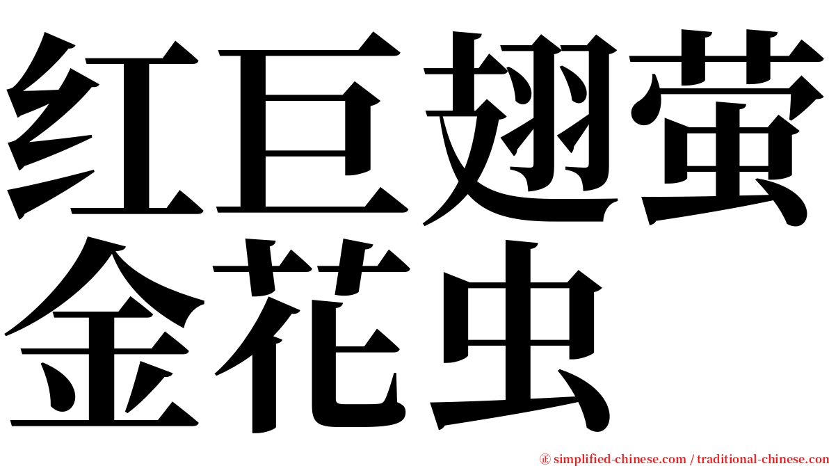 红巨翅萤金花虫 serif font