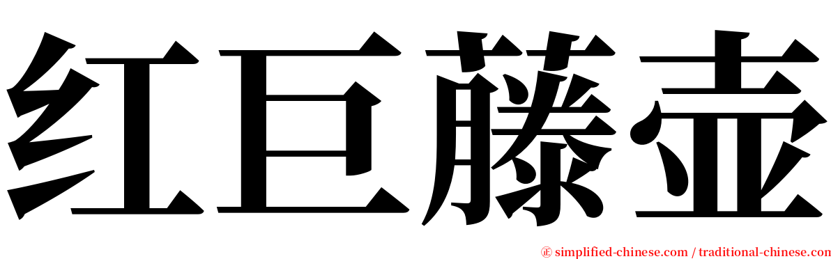 红巨藤壶 serif font