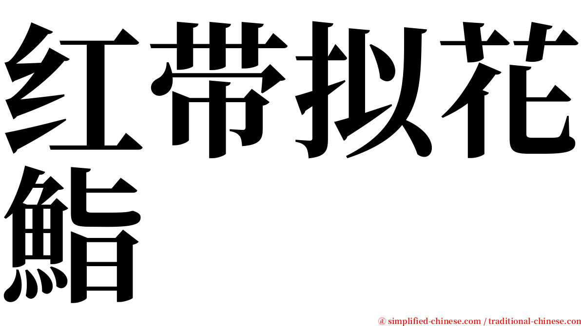 红带拟花鮨 serif font