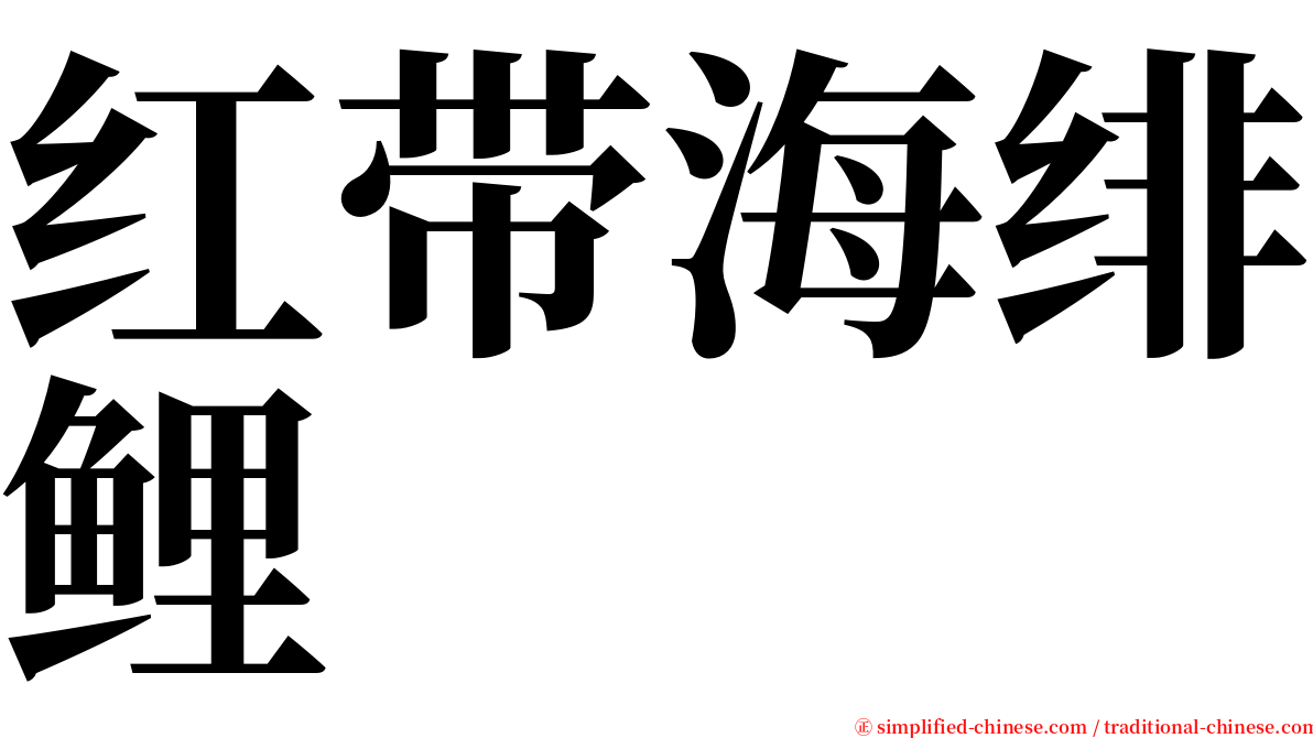 红带海绯鲤 serif font