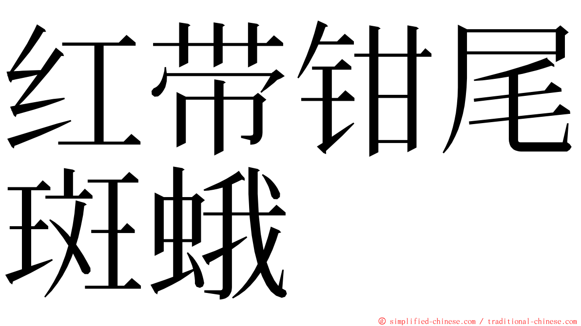 红带钳尾斑蛾 ming font