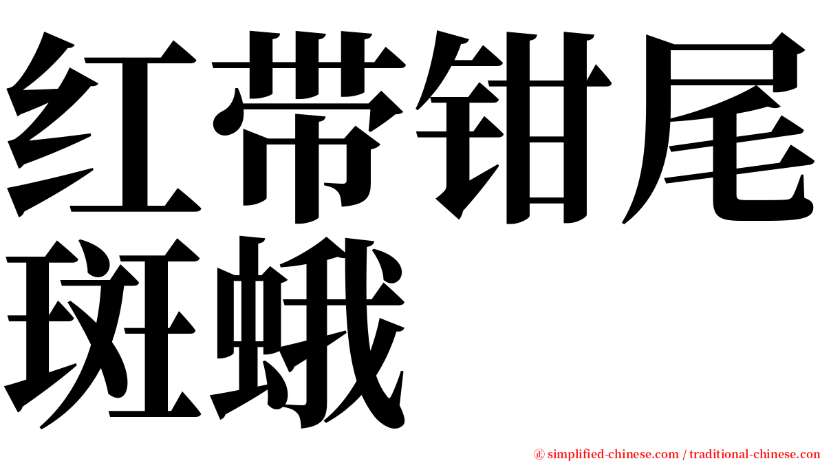 红带钳尾斑蛾 serif font