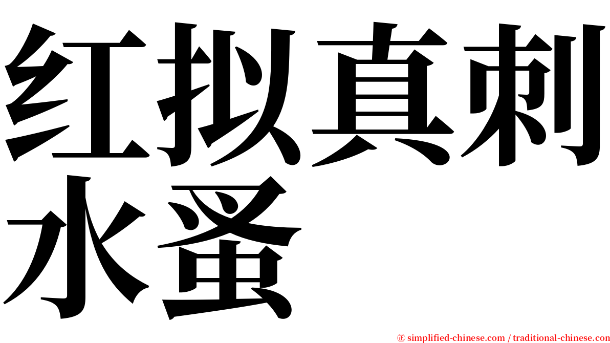 红拟真刺水蚤 serif font