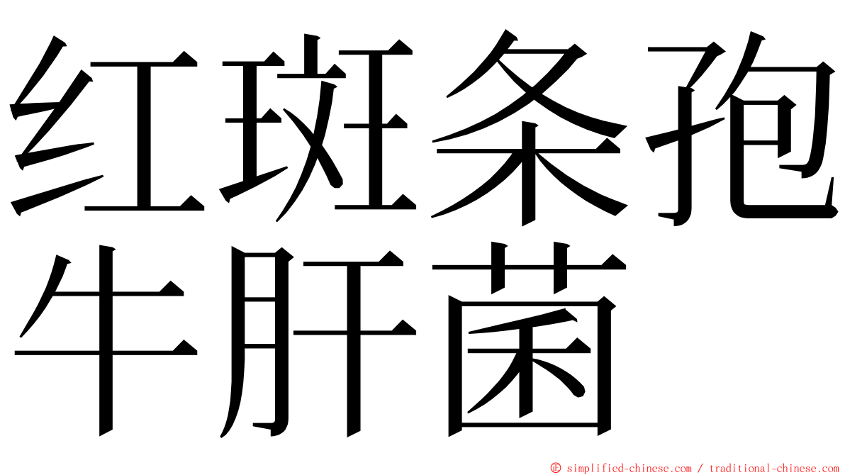 红斑条孢牛肝菌 ming font