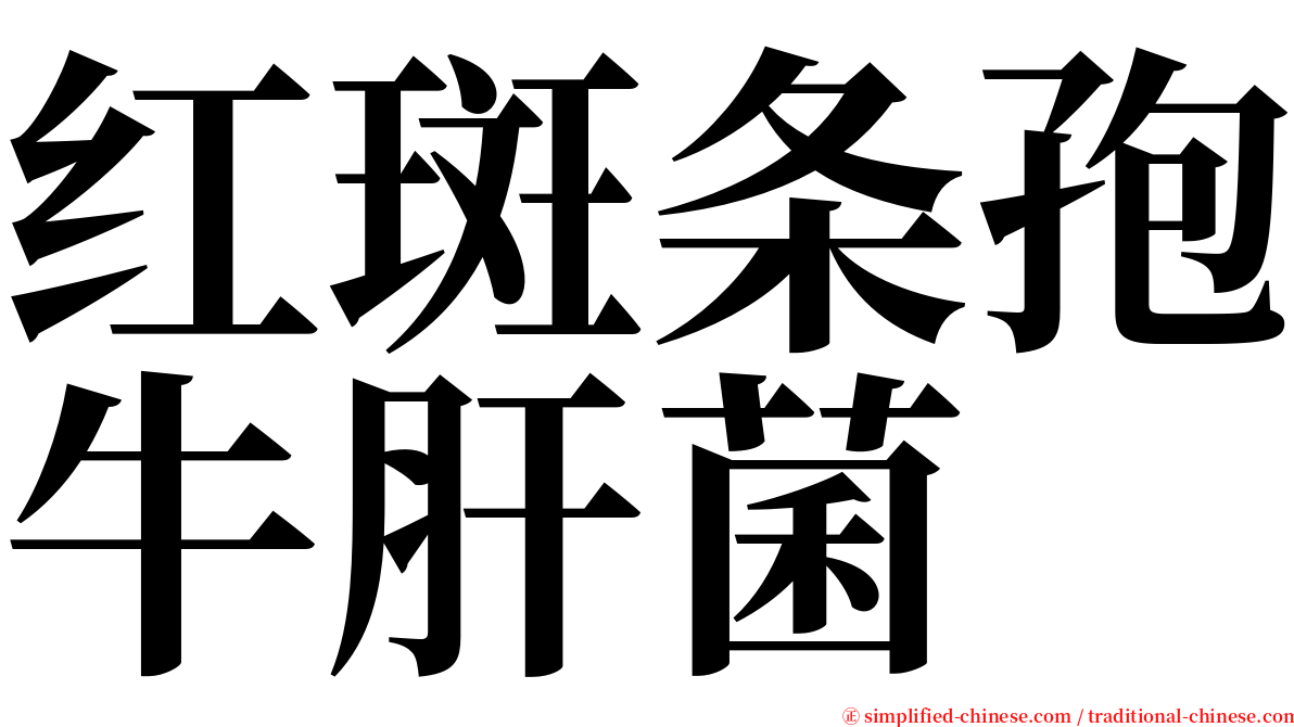 红斑条孢牛肝菌 serif font